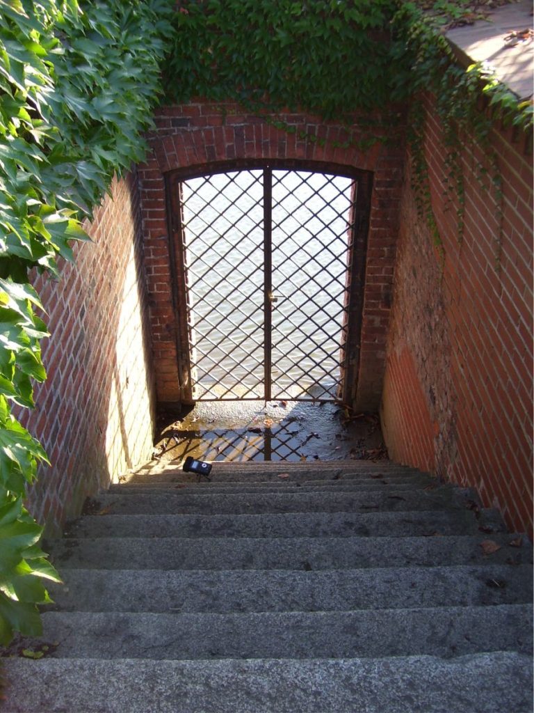 Odra przy Ostrowie Tumskim