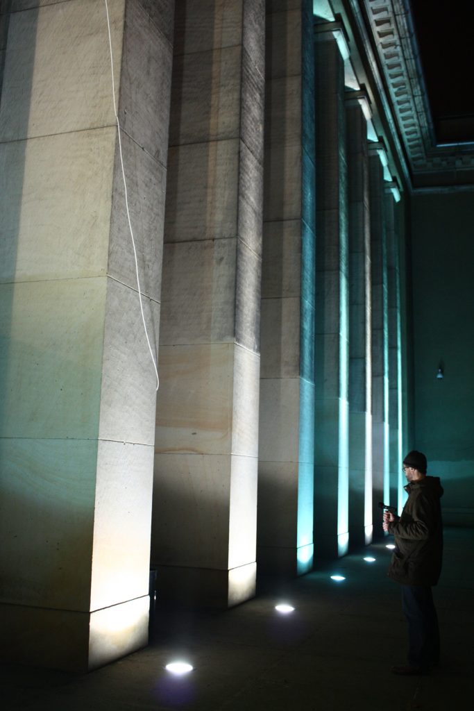 Ptaki przy Urzędzie Wojewódzkim